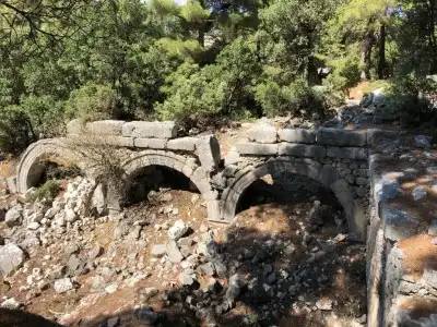 yenivadi - 19