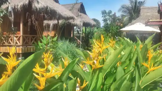 Bird of Paradise Bungalows - 17