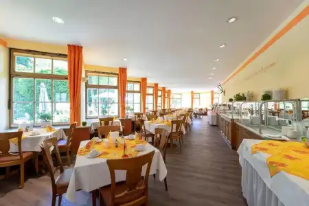 Goldener Hirsch - 9