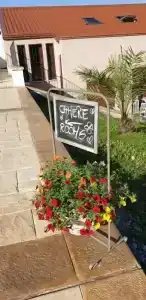 B&B Stella Del Cilento Rooms - 0