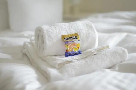 RegioSchanzenhaus Wernigerode - 82