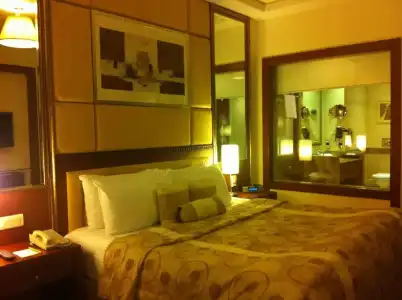 Lemon Tree Premier, Jaipur - 24