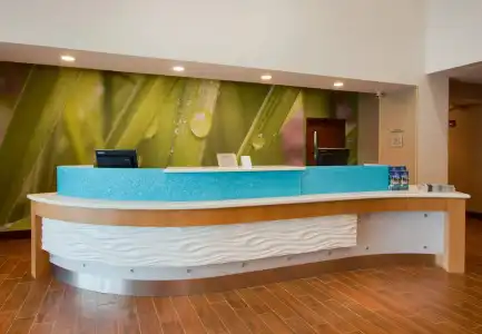 SpringHill Suites by Marriott Orlando Lake Buena Vista South - 0