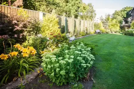 Garden Camping - 54
