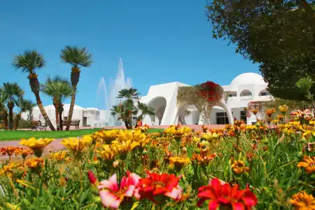 Djerba Plaza Thalasso & Spa - 23