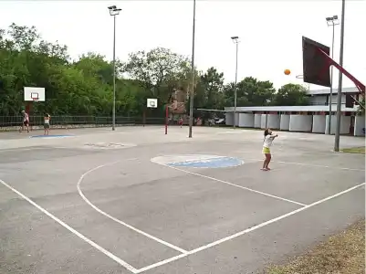 Kamelija - 13