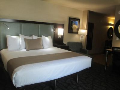 Best Western Plus Oceanside Palms - 67