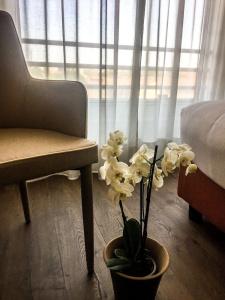 Blaise & Francis - 35