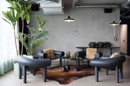 Basecamp - 12