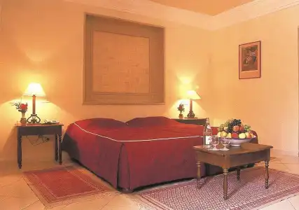 Sun Palm - 3
