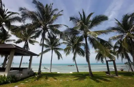 Baan Asan - 9