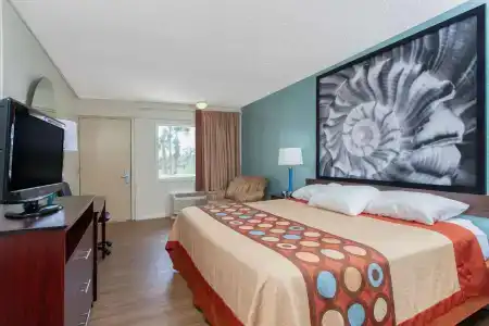 Super 8 By Wyndham Clearwater/Us Hwy 19 N - 22
