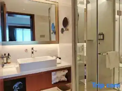 V-Continent Beijing Parkview Wuzhou - 32