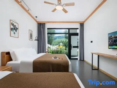 Piccolo Etruria - 70