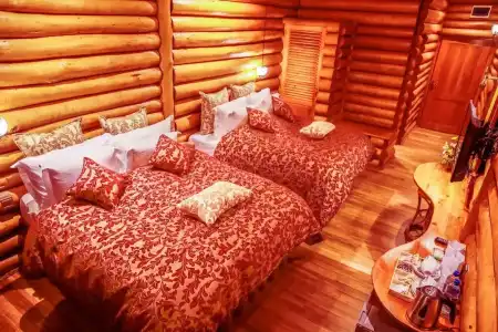 Queenswood Cottage - 29