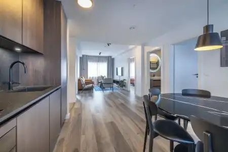 Hlemmur Suites - 115