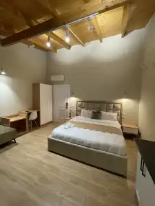 Arial Penthouse Suites - 206