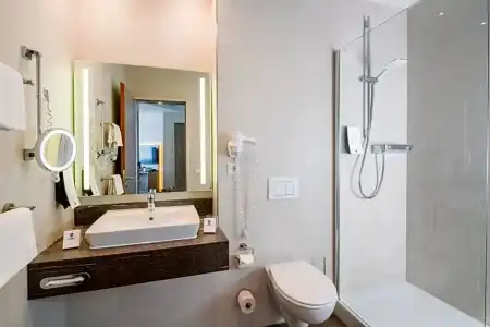 Best Western Dreilaenderbruecke - 57