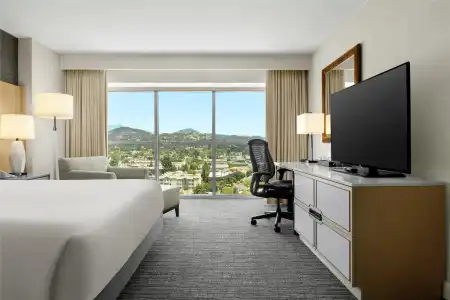 Hilton Los Angeles North/Glendale - 44