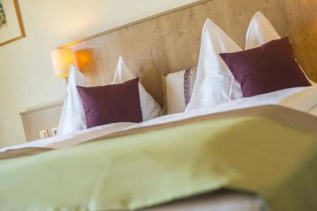 Das Gastein - including Alpentherme entrance all year and including "Gasteiner Bergbahnen" during summer season - 42