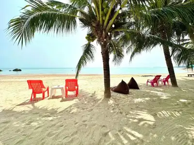 The Scenery - 0