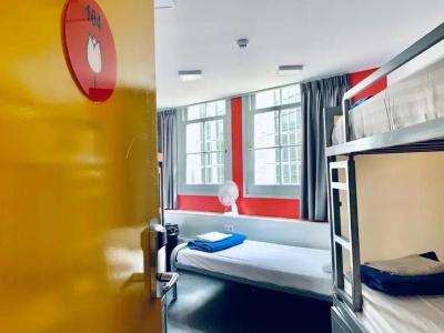 The White Tulip Hostel - 19