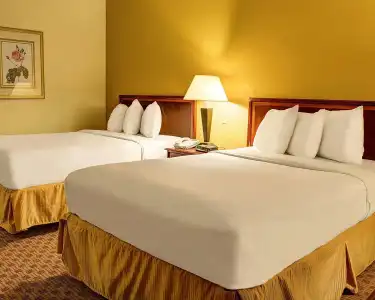 Quality Inn Richmond North - 26