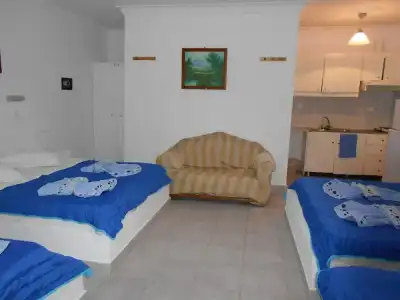 Studios Apartments Kapetanios - 1