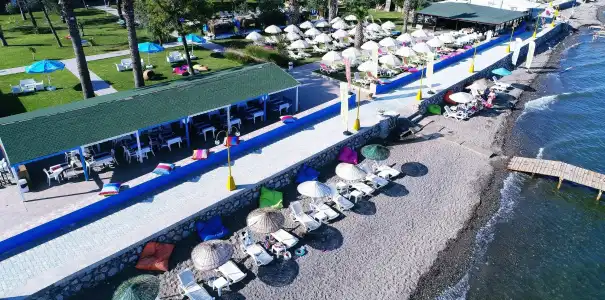 Palm Beach - 12