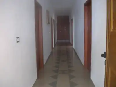 Piccolino - 14