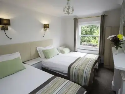 Primrose Guest House - 33