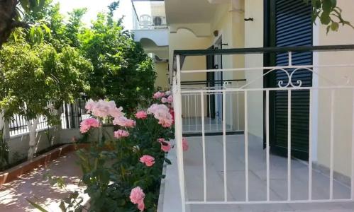 Elenas Garden - 39