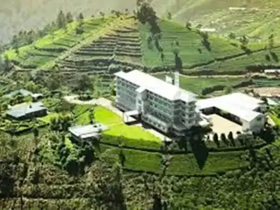 Heritance Tea Factory - 12