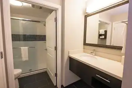 Staybridge Suites ALBANY WOLF RD-COLONIE CENTER by IHG - 100