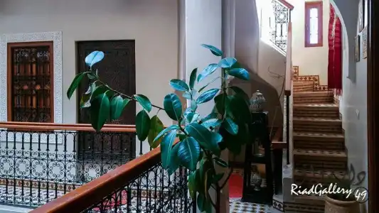 Riad Gallery 49 - 81