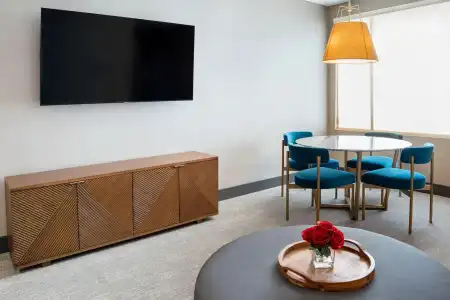 SpringHill Suites by Marriott Chicago Chinatown - 14