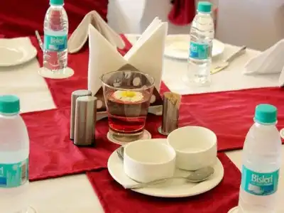 The Golden Palms & Spa Delhi - 8