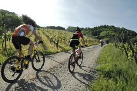 Hotel- Restaurant Poststuben - 22