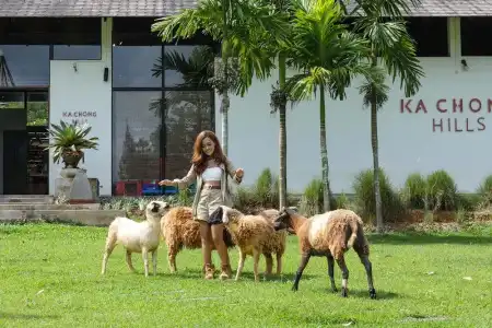 Kachong Hills Tented Resort Trang - 27