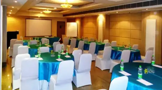 Sarovar Portico Naraina Delhi - 3