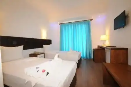 Turunç Dream - 47