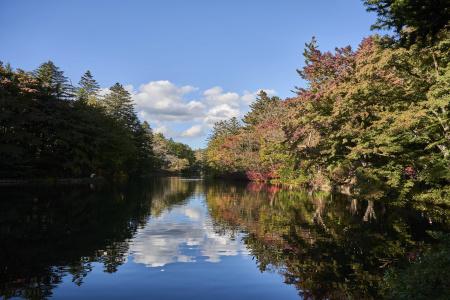 Indigo Karuizawa by IHG - 26