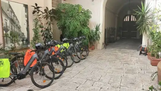 Palazzo Degli Antoci - 53