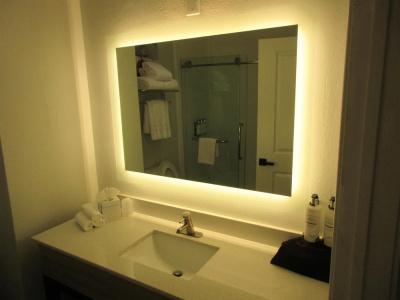 Best Western Premier Houston Downtown/Convention Center - 49