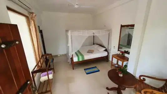 Turtle Paradise - 133