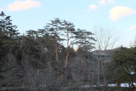 Seikoen - 22
