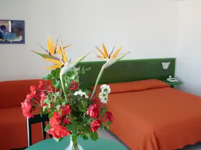 Piccada - 57