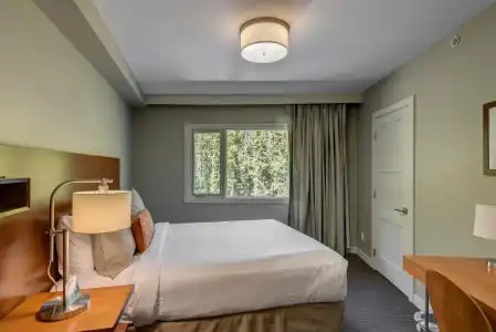 The Juniper - 28
