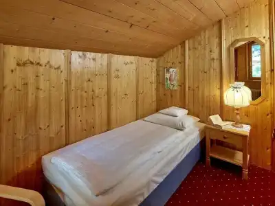 Monika & Montafon Chalets - 29