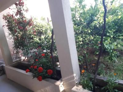 Apartments Petković - 83